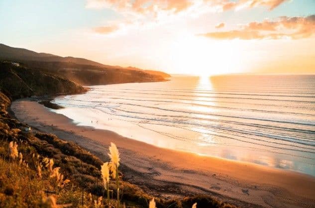 The Best Weekend Road Trips from Auckland