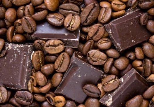 Chocolate and Coffee Festival Auckland 2025 – A Sweet September Escape