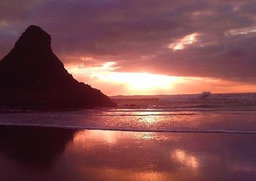 From Hotel Lobby to Highway. Your Auckland Car Awaits