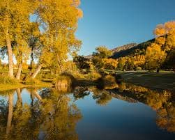 Arrowtown’s Autumn Festival: The Perfect Autumn Day Trip from Queenstown