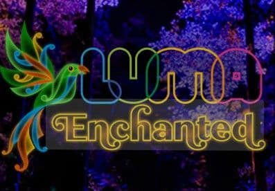 Light Up Your Queenstown Winter: LUMA 2025