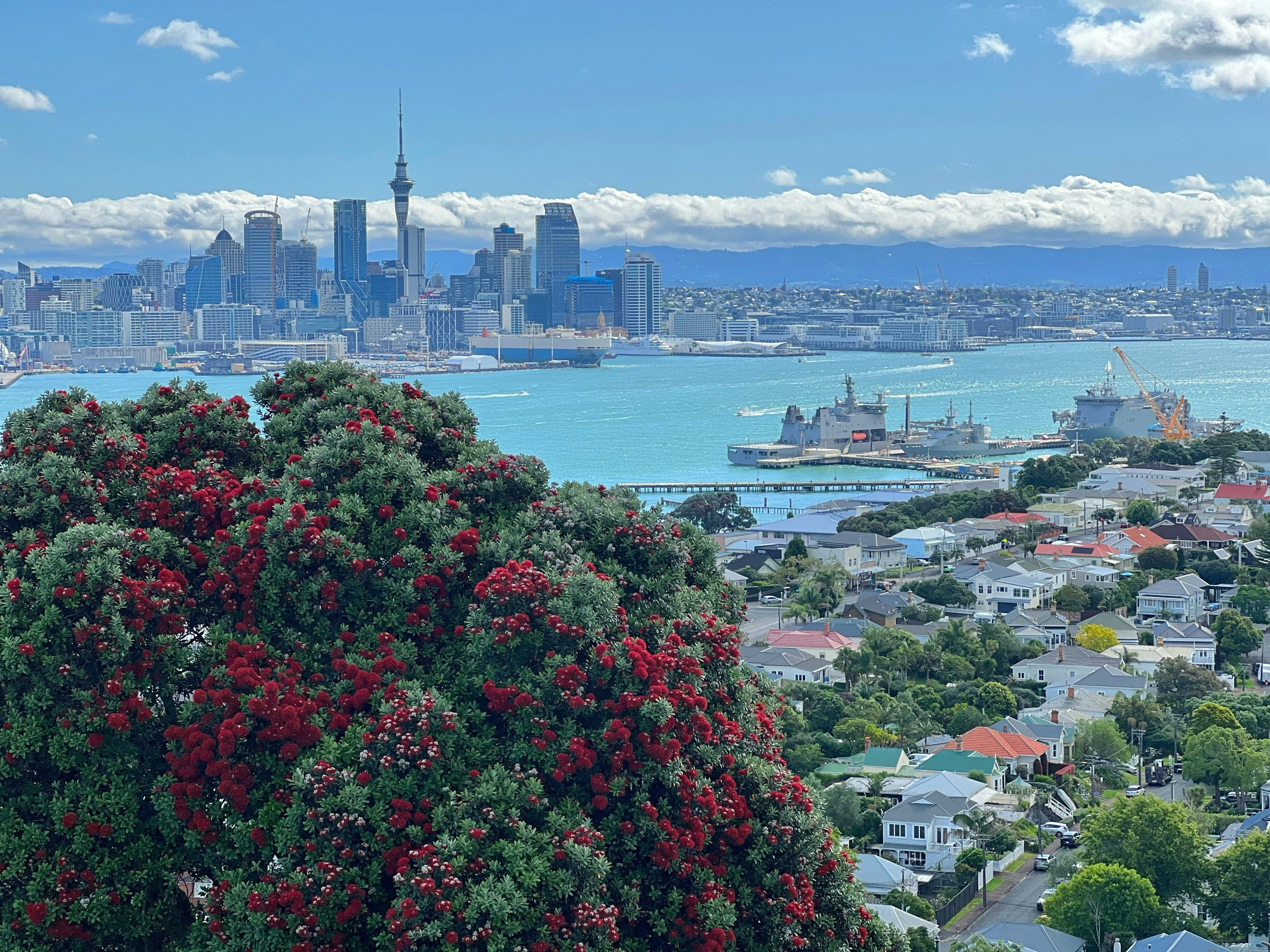 Where to Stay in Auckland This Summer