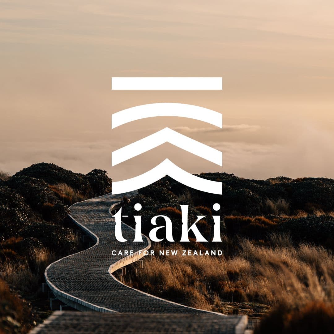 Driving in New Zealand: What Visitors Need to Know Before They Set Off
