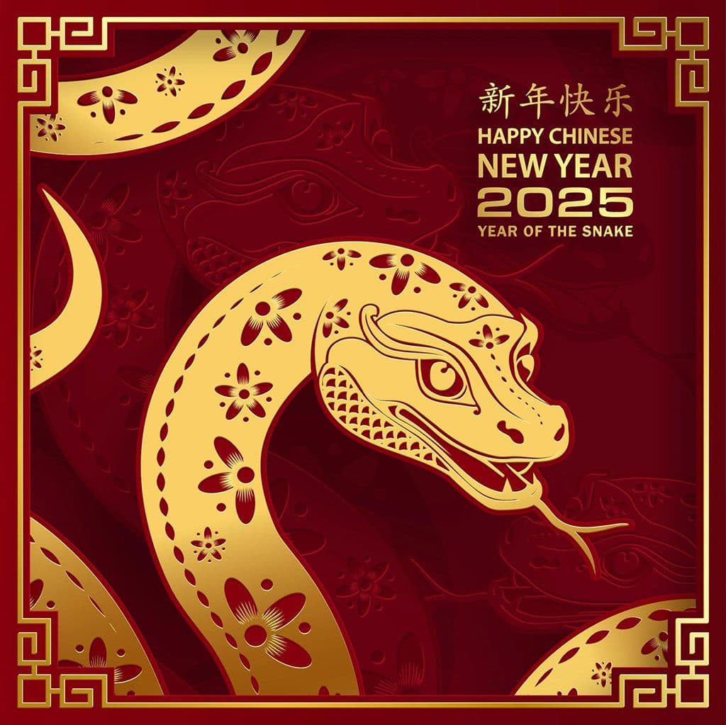 Celebrate Chinese New Year in Queenstown 2025